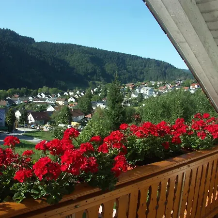 Lejlighed Am Waldrand #115200 Schiltach